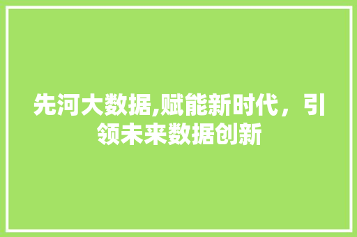 先河大数据,赋能新时代，引领未来数据创新 英文谷歌算法