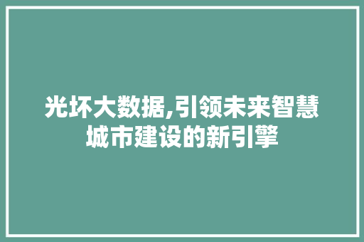 光坏大数据,引领未来智慧城市建设的新引擎 小程序开发