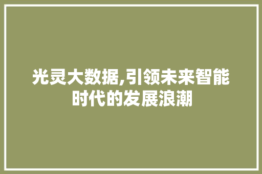 光灵大数据,引领未来智能时代的发展浪潮 seo技术