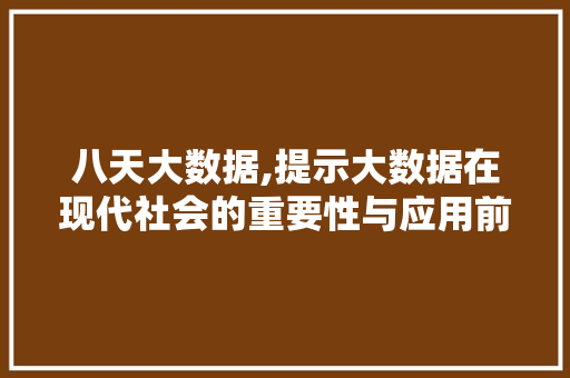 八天大数据,提示大数据在现代社会的重要性与应用前景