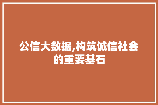 公信大数据,构筑诚信社会的重要基石 英文谷歌算法