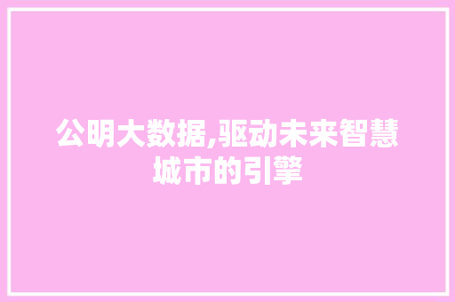 公明大数据,驱动未来智慧城市的引擎 网站开发