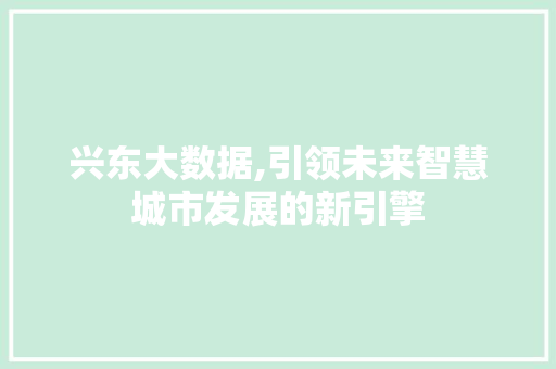 兴东大数据,引领未来智慧城市发展的新引擎 网站开发