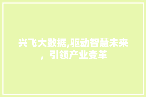 兴飞大数据,驱动智慧未来，引领产业变革