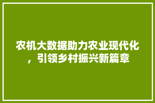农机大数据助力农业现代化，引领乡村振兴新篇章