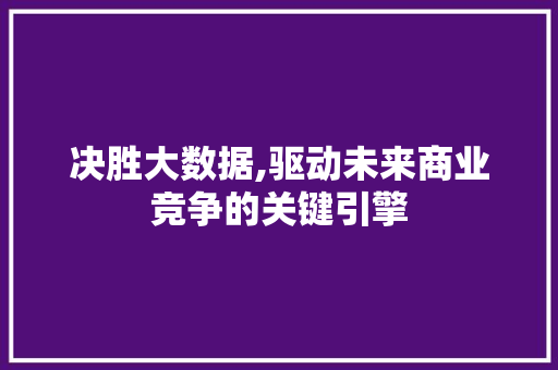 决胜大数据,驱动未来商业竞争的关键引擎 360搜优化