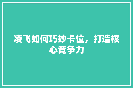 凌飞如何巧妙卡位，打造核心竞争力 360搜优化