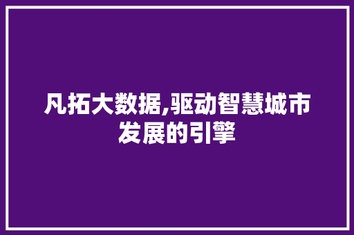 凡拓大数据,驱动智慧城市发展的引擎