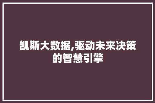 凯斯大数据,驱动未来决策的智慧引擎 网站优化