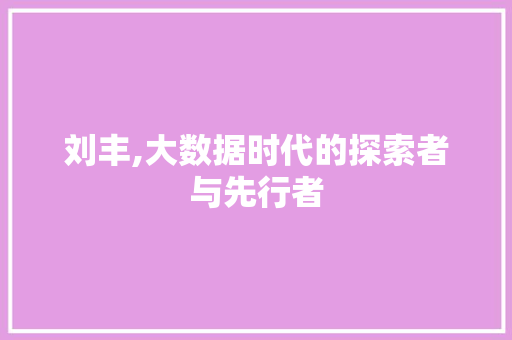 刘丰,大数据时代的探索者与先行者 搜狗优化