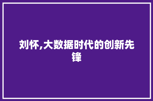 刘怀,大数据时代的创新先锋