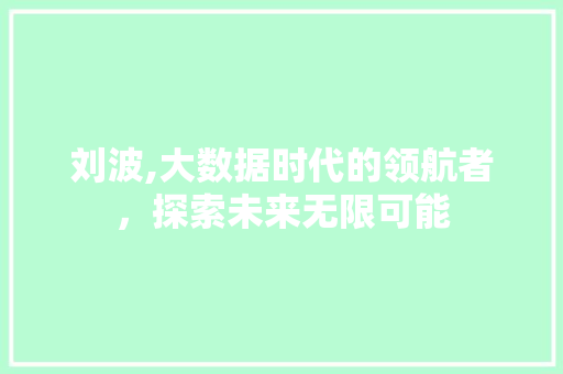 刘波,大数据时代的领航者，探索未来无限可能 搜狗优化