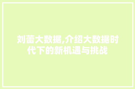 刘蕾大数据,介绍大数据时代下的新机遇与挑战 小程序开发