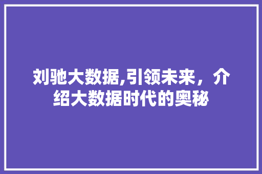 刘驰大数据,引领未来，介绍大数据时代的奥秘 英文谷歌算法