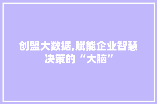 创盟大数据,赋能企业智慧决策的“大脑” AI技术学习