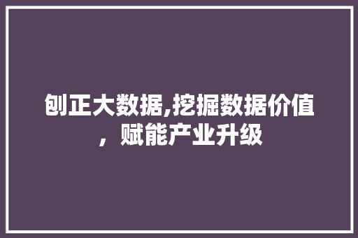 刨正大数据,挖掘数据价值，赋能产业升级