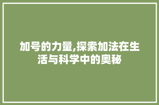 加号的力量,探索加法在生活与科学中的奥秘 seo技术
