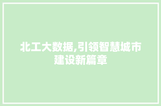 北工大数据,引领智慧城市建设新篇章 小程序开发