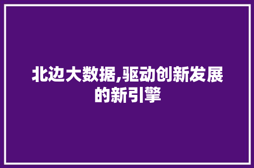 北边大数据,驱动创新发展的新引擎 小程序开发