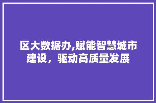 区大数据办,赋能智慧城市建设，驱动高质量发展