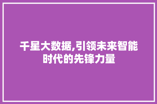 千星大数据,引领未来智能时代的先锋力量
