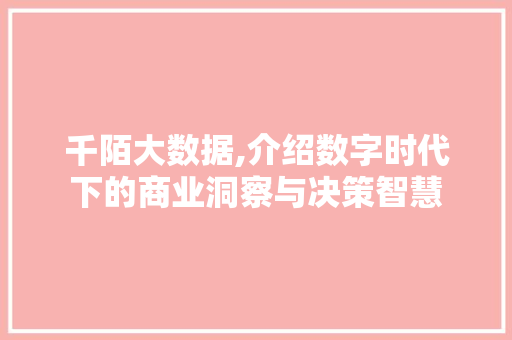 千陌大数据,介绍数字时代下的商业洞察与决策智慧 网站优化