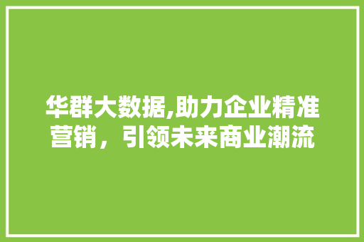 华群大数据,助力企业精准营销，引领未来商业潮流