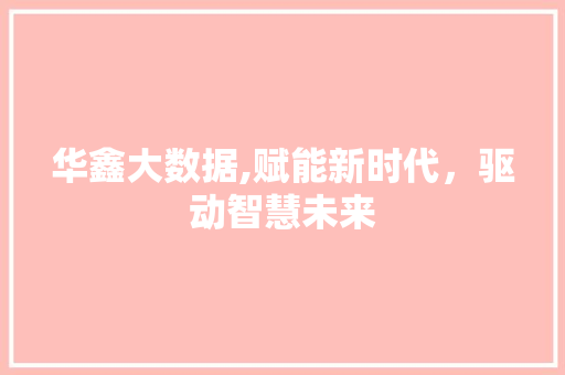 华鑫大数据,赋能新时代，驱动智慧未来 seo技术