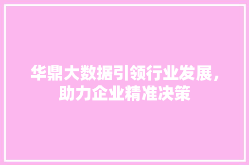 华鼎大数据引领行业发展，助力企业精准决策 seo技术