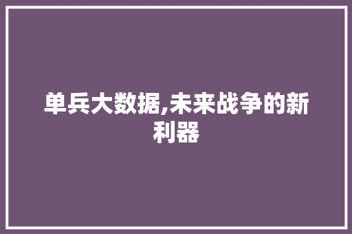 单兵大数据,未来战争的新利器 英文谷歌算法