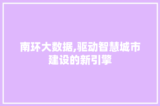 南环大数据,驱动智慧城市建设的新引擎