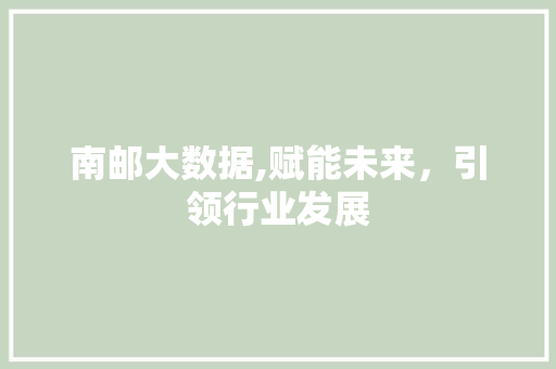 南邮大数据,赋能未来，引领行业发展 英文谷歌算法
