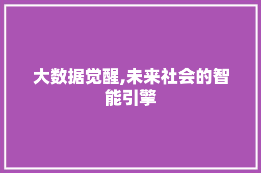 大数据觉醒,未来社会的智能引擎 网站优化
