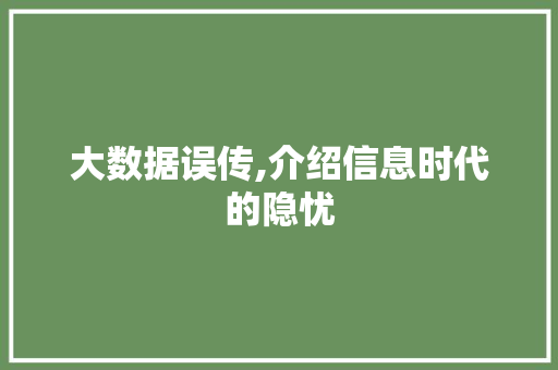 大数据误传,介绍信息时代的隐忧 英文谷歌算法