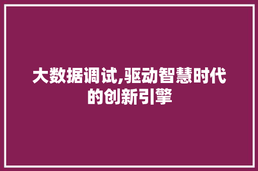 大数据调试,驱动智慧时代的创新引擎 头条优化