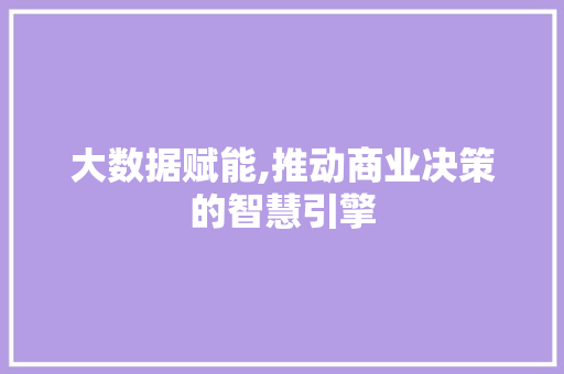 大数据赋能,推动商业决策的智慧引擎 头条优化