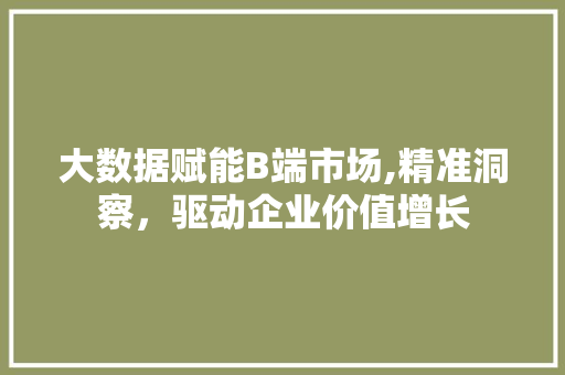 大数据赋能B端市场,精准洞察，驱动企业价值增长 网站优化