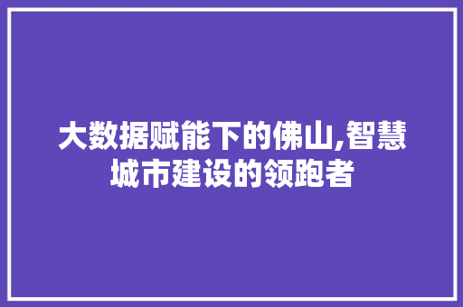 大数据赋能下的佛山,智慧城市建设的领跑者 网站开发