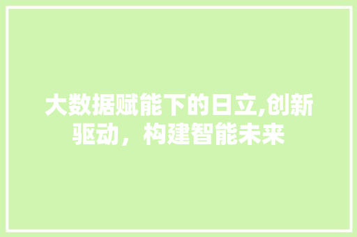 大数据赋能下的日立,创新驱动，构建智能未来 360搜优化