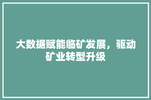 大数据赋能临矿发展，驱动矿业转型升级