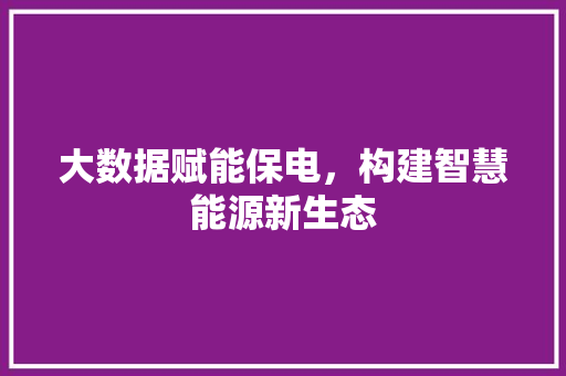 大数据赋能保电，构建智慧能源新生态 网站优化