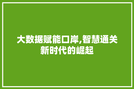 大数据赋能口岸,智慧通关新时代的崛起 360搜优化