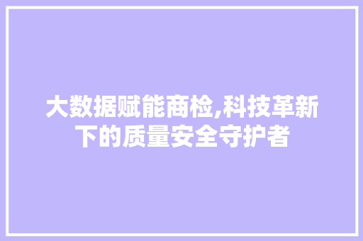 大数据赋能商检,科技革新下的质量安全守护者 网站优化