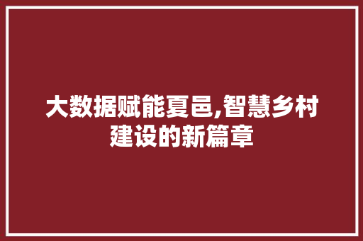 大数据赋能夏邑,智慧乡村建设的新篇章