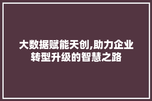 大数据赋能天创,助力企业转型升级的智慧之路 seo技术