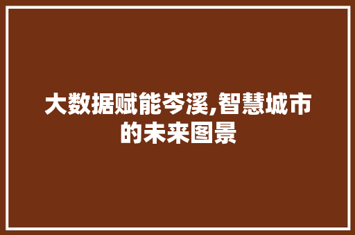 大数据赋能岑溪,智慧城市的未来图景