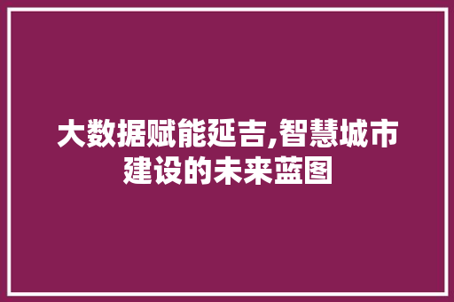 大数据赋能延吉,智慧城市建设的未来蓝图 seo技术