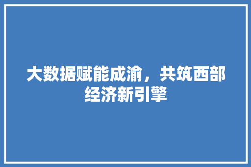 大数据赋能成渝，共筑西部经济新引擎
