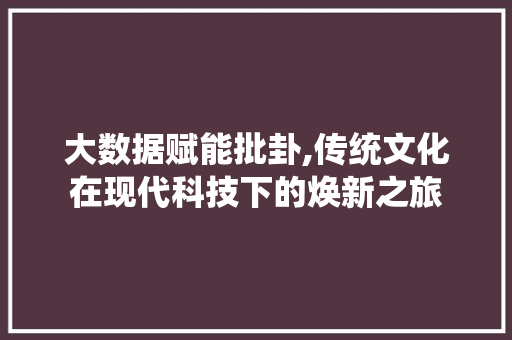 大数据赋能批卦,传统文化在现代科技下的焕新之旅 英文谷歌算法