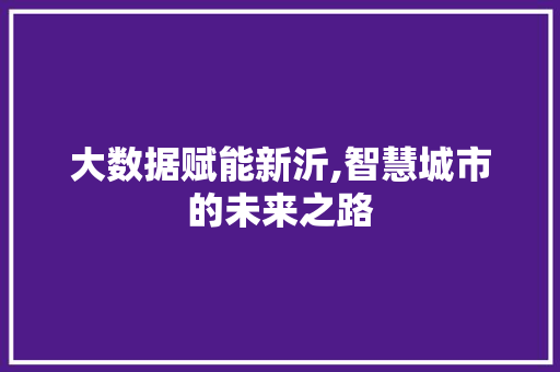 大数据赋能新沂,智慧城市的未来之路